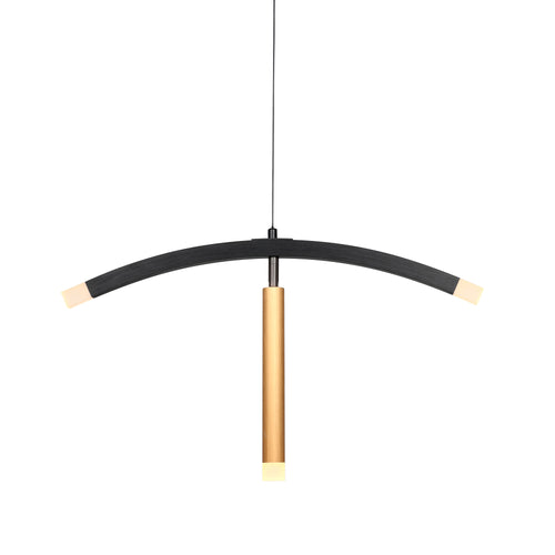 EDIN Directional 150° Swivel 3-Light LED Pendant Light - Black and Brushed Gold by Carro